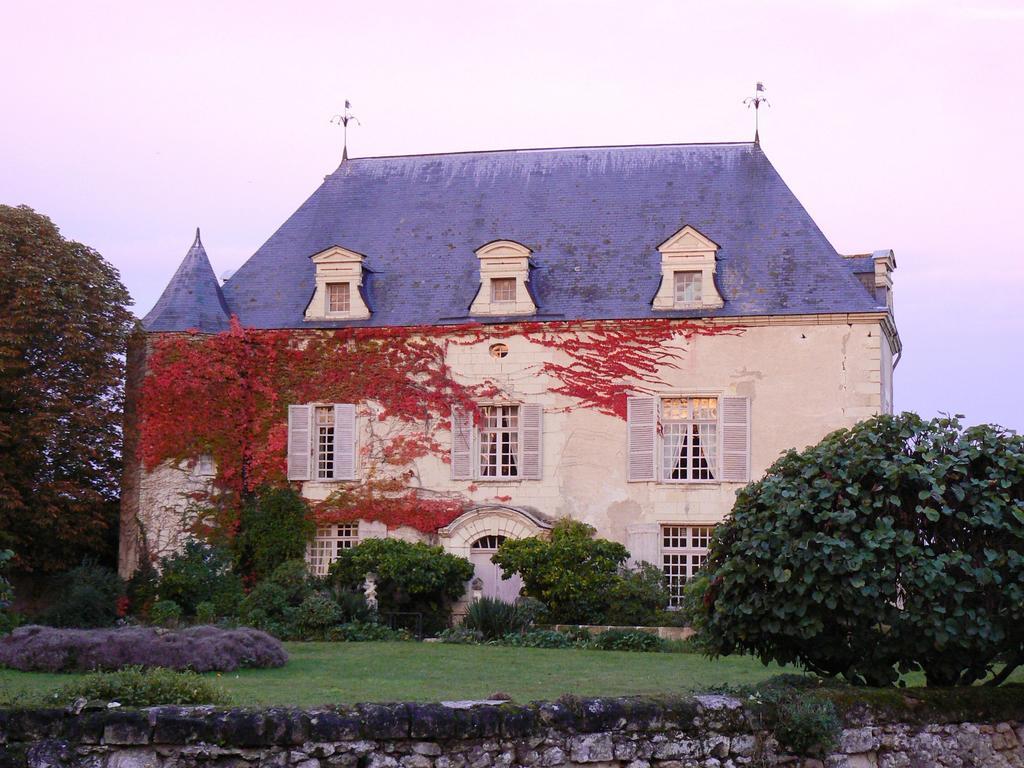 Gite Chateau De Chaintres Dampierre-sur-Loire Bilik gambar